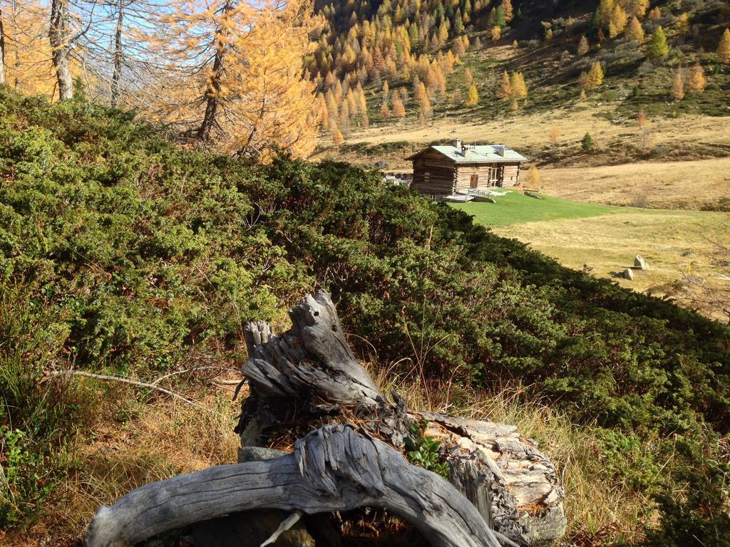 Casa Elda Leilighet Isolaccia Rom bilde