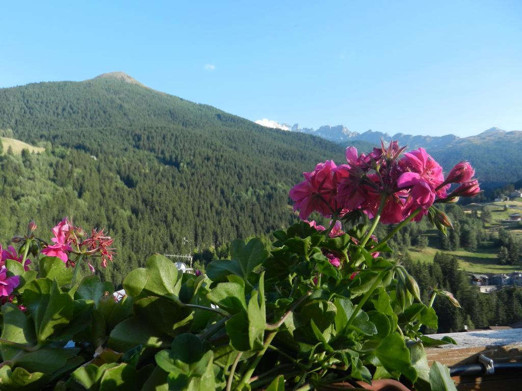Casa Elda Leilighet Isolaccia Rom bilde